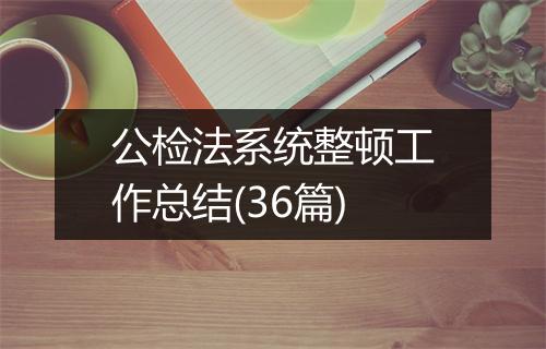 公检法系统整顿工作总结(36篇)