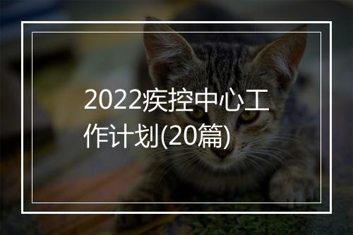 2022疾控中心工作计划(20篇)