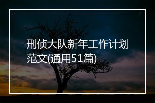 刑侦大队新年工作计划范文(通用51篇)
