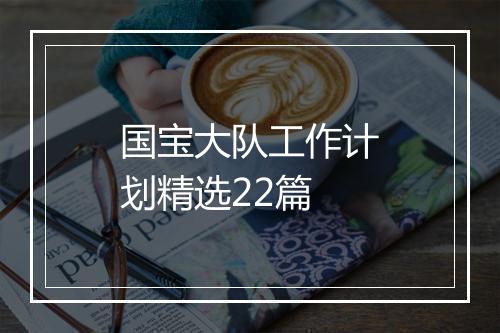 国宝大队工作计划精选22篇