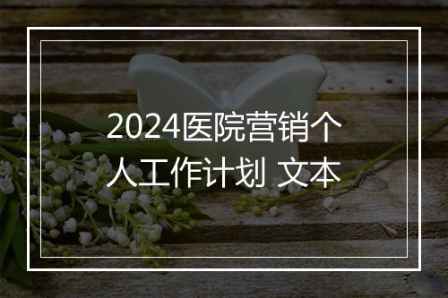 2024医院营销个人工作计划 文本