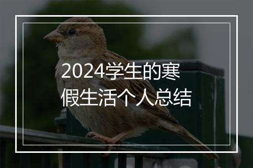 2024学生的寒假生活个人总结