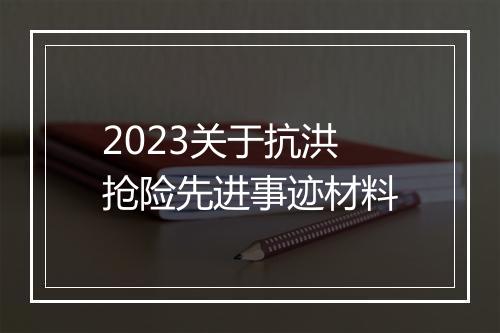 2023关于抗洪抢险先进事迹材料