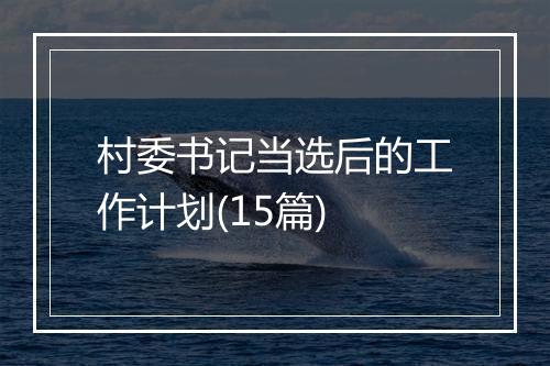 村委书记当选后的工作计划(15篇)