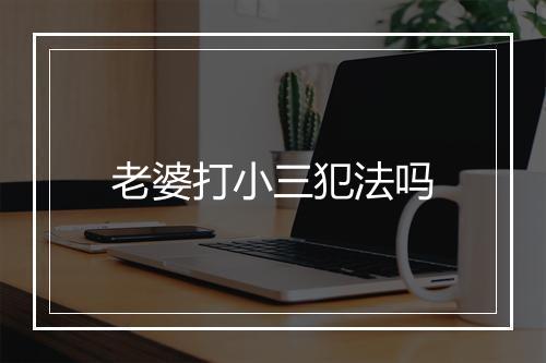 老婆打小三犯法吗