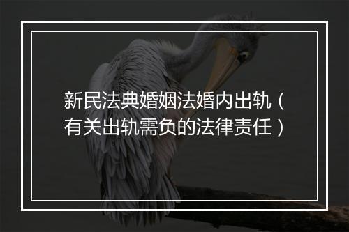 新民法典婚姻法婚内出轨（有关出轨需负的法律责任）