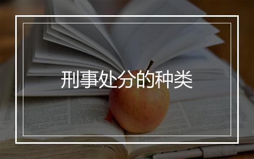 刑事处分的种类