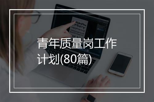 青年质量岗工作计划(80篇)
