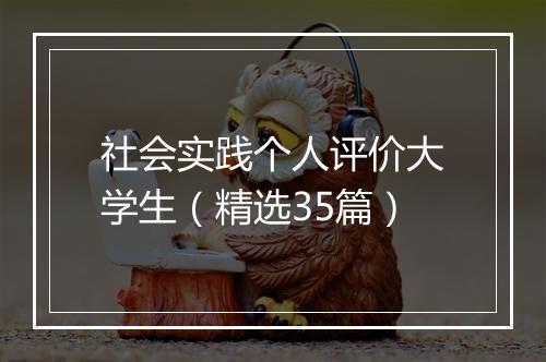 社会实践个人评价大学生（精选35篇）