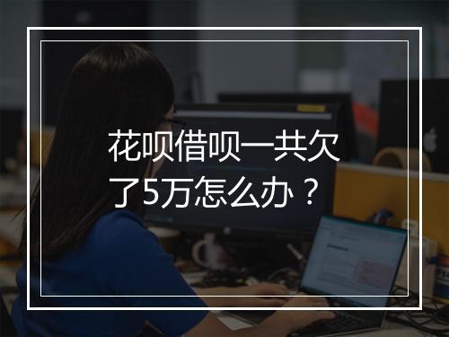 花呗借呗一共欠了5万怎么办？