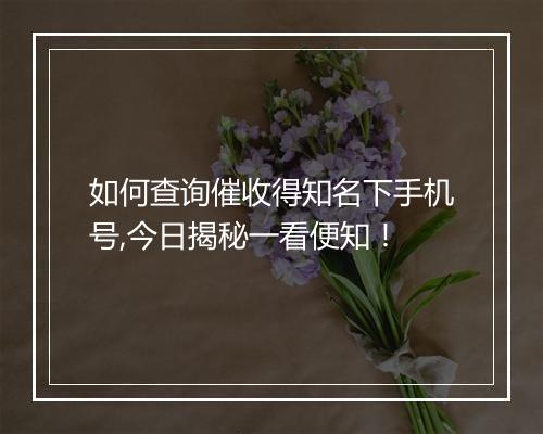 如何查询催收得知名下手机号,今日揭秘一看便知！