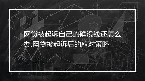 网贷被起诉自己的确没钱还怎么办,网贷被起诉后的应对策略