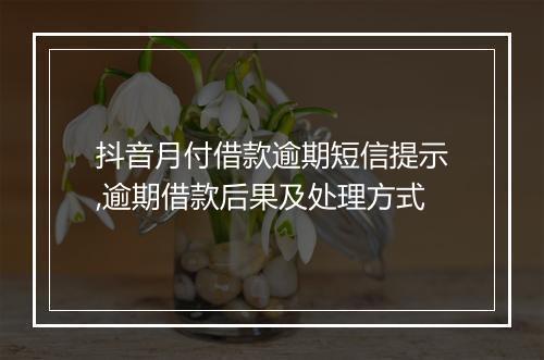 抖音月付借款逾期短信提示,逾期借款后果及处理方式