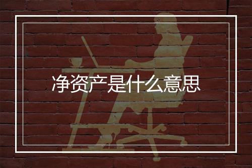 净资产是什么意思