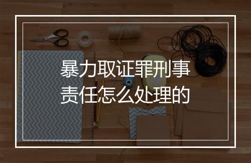 暴力取证罪刑事责任怎么处理的