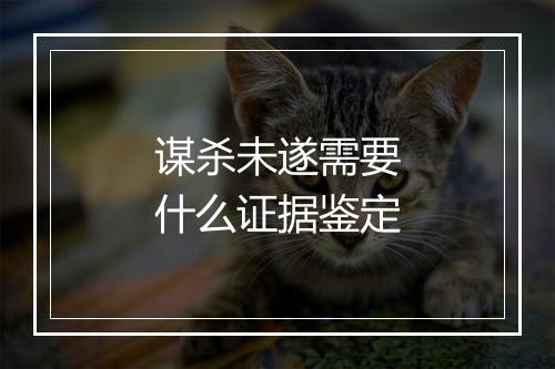 谋杀未遂需要什么证据鉴定