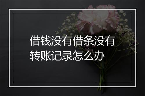 借钱没有借条没有转账记录怎么办