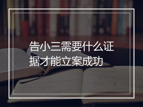 告小三需要什么证据才能立案成功