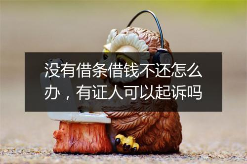 没有借条借钱不还怎么办，有证人可以起诉吗