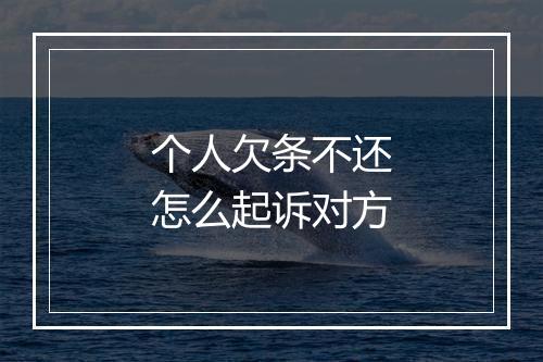 个人欠条不还怎么起诉对方
