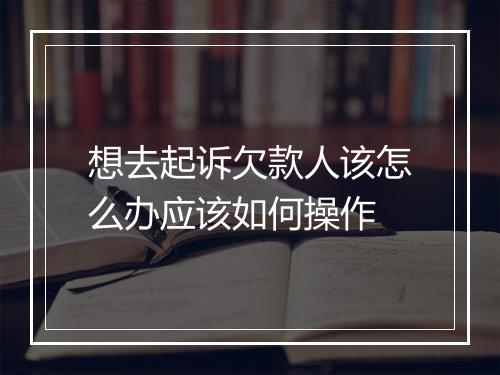 想去起诉欠款人该怎么办应该如何操作