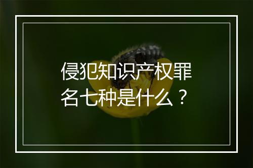 侵犯知识产权罪名七种是什么？