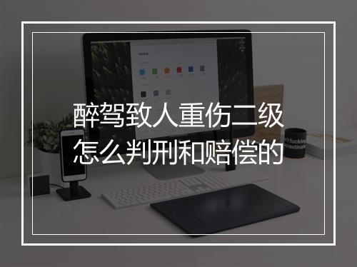 醉驾致人重伤二级怎么判刑和赔偿的