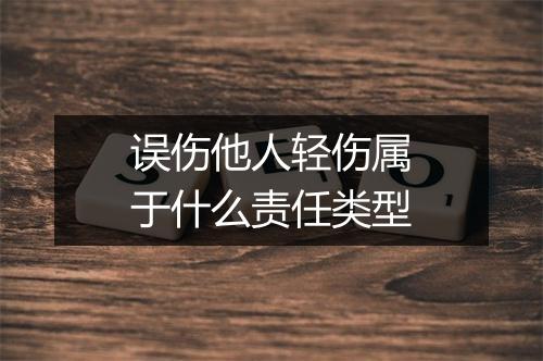 误伤他人轻伤属于什么责任类型