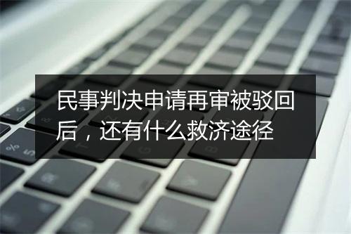 民事判决申请再审被驳回后，还有什么救济途径