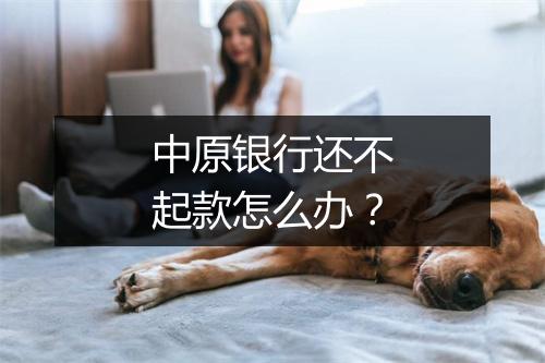 中原银行还不起款怎么办？