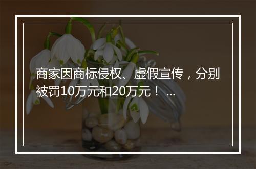商家因商标侵权、虚假宣传，分别被罚10万元和20万元！ 来源:
