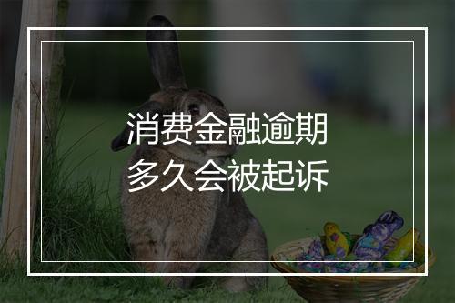 消费金融逾期多久会被起诉