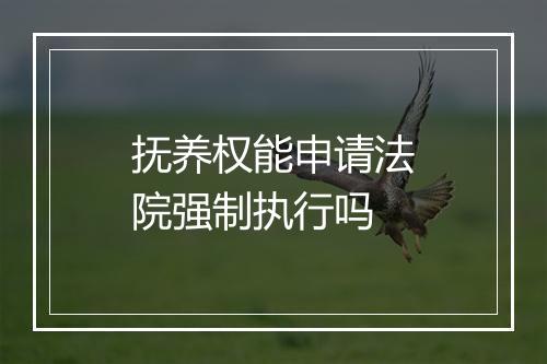 抚养权能申请法院强制执行吗