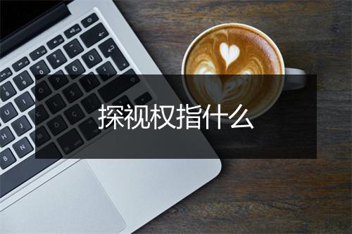 探视权指什么