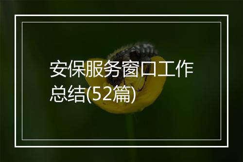 安保服务窗口工作总结(52篇)