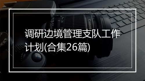 调研边境管理支队工作计划(合集26篇)