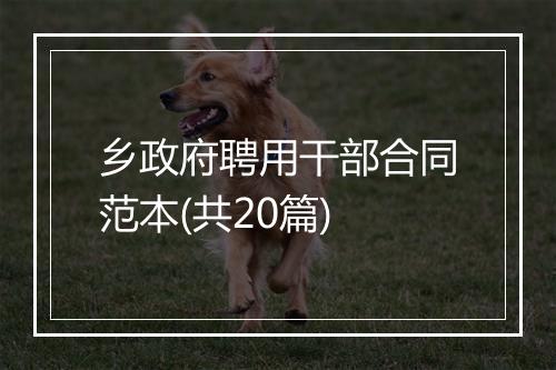 乡政府聘用干部合同范本(共20篇)