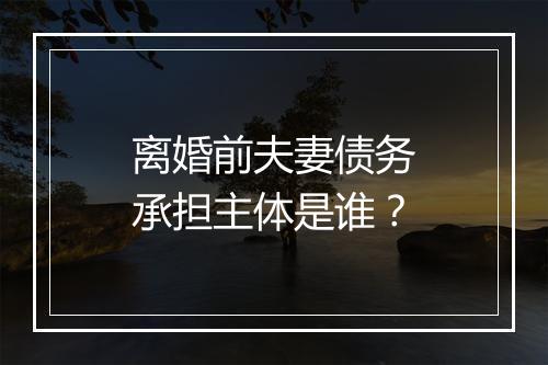 离婚前夫妻债务承担主体是谁？