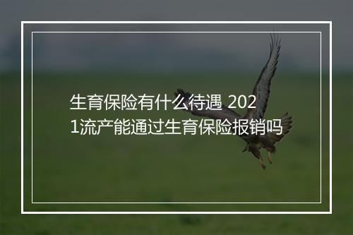 生育保险有什么待遇 2021流产能通过生育保险报销吗