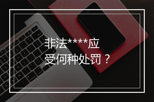 非法****应受何种处罚？
