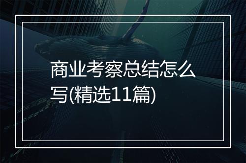 商业考察总结怎么写(精选11篇)