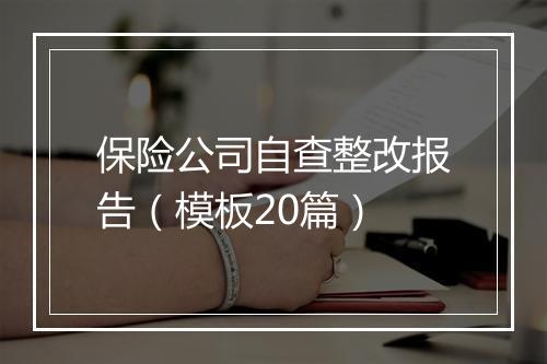 保险公司自查整改报告（模板20篇）