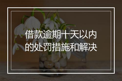 借款逾期十天以内的处罚措施和解决