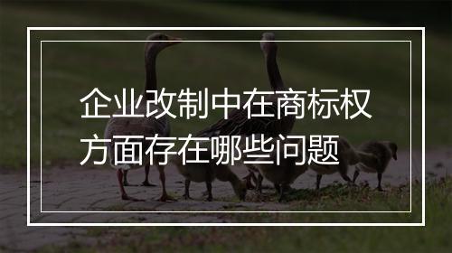 企业改制中在商标权方面存在哪些问题