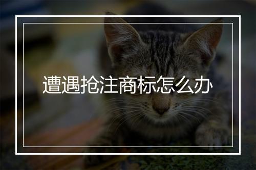 遭遇抢注商标怎么办