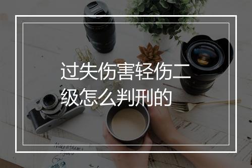 过失伤害轻伤二级怎么判刑的