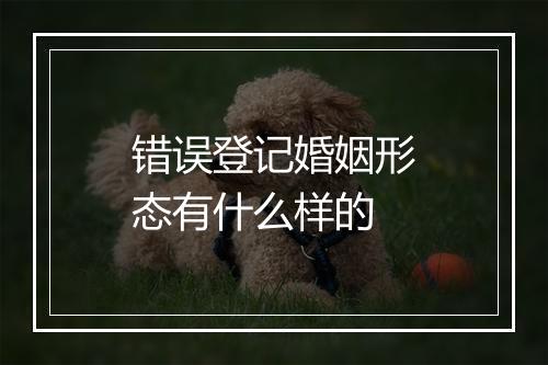 错误登记婚姻形态有什么样的