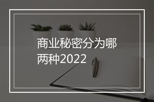 商业秘密分为哪两种2022