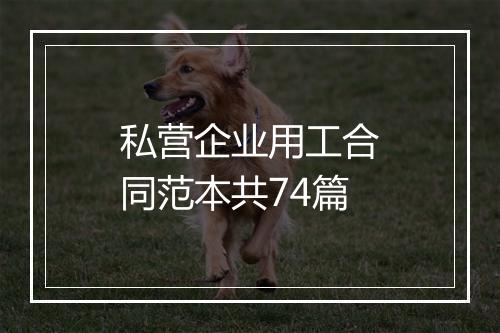 私营企业用工合同范本共74篇