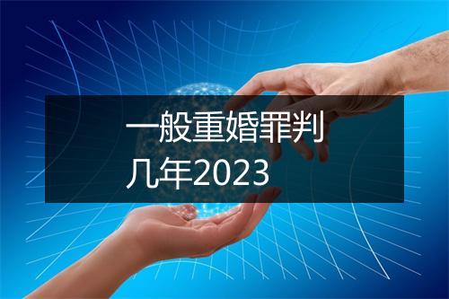 一般重婚罪判几年2023